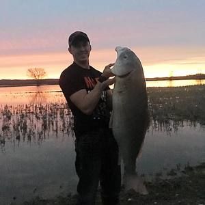 Meet your Posher, Spencer